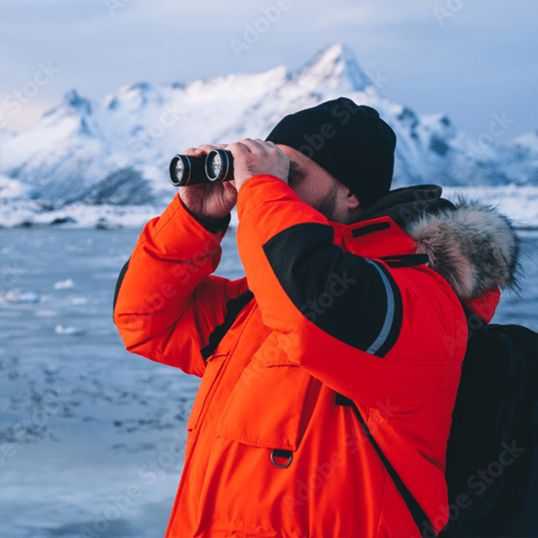 Escape the Arctic